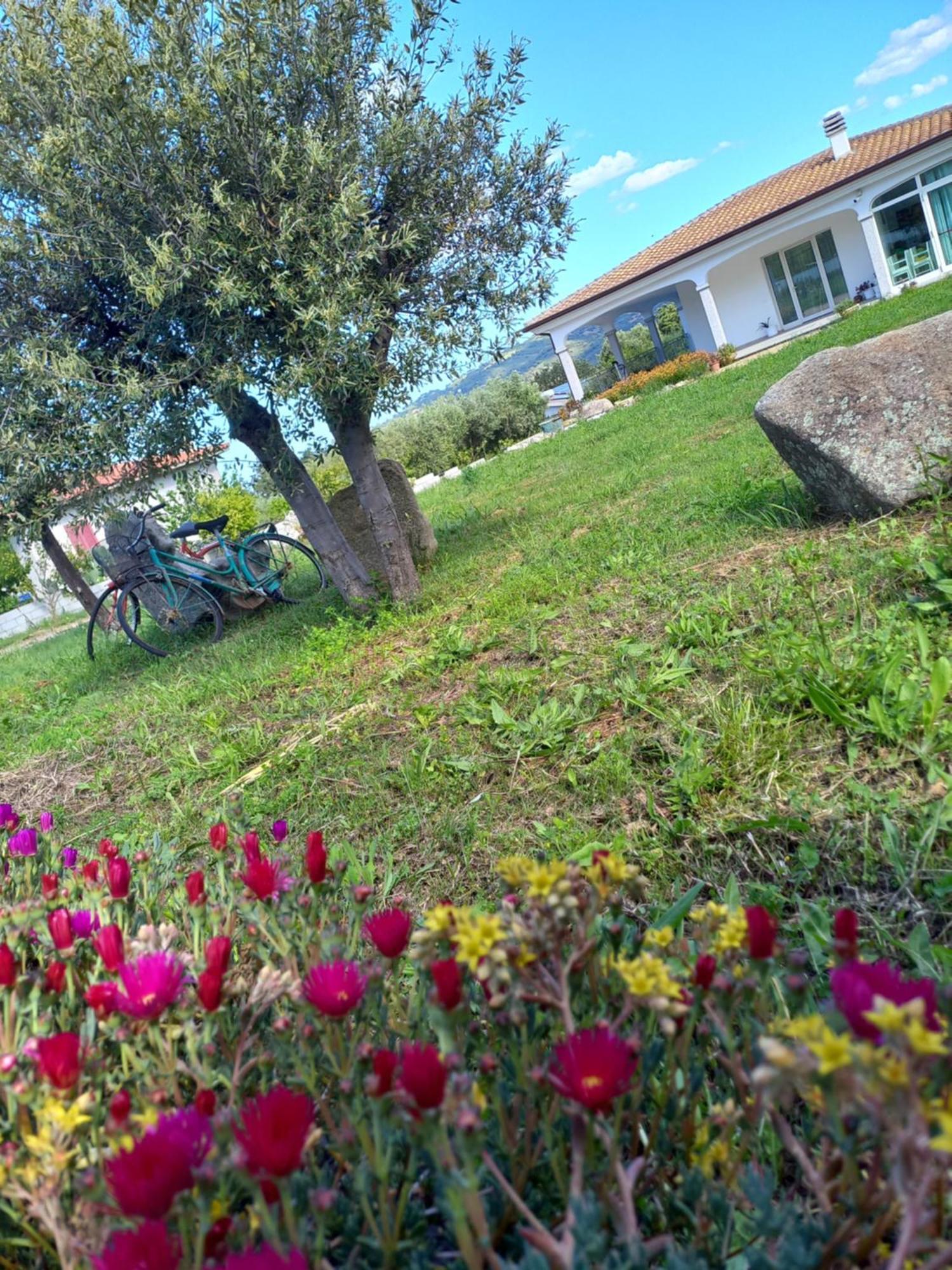 Agriturismo B&B Mares E Montes De Marrante ซินิสโกลา ภายนอก รูปภาพ